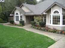 Manicured Lawn Service